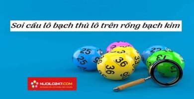 Soi Cầu Lô Rồng Bạch Kim