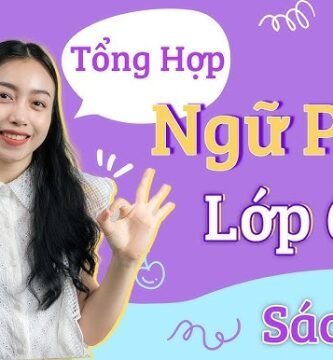 Tổng Hợp Kiến Thức Tiếng Anh Lớp 6