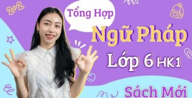 Tổng Hợp Kiến Thức Tiếng Anh Lớp 6